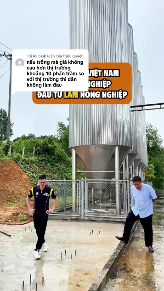 Ảnh bìa video: Không cao hơn thị trường 10% thì bà con không trồng nữa