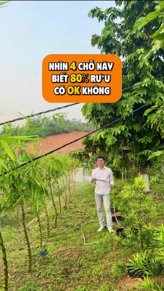 Ảnh bìa video: Bốn điều nhìn được trên chai trước khi bạn uống