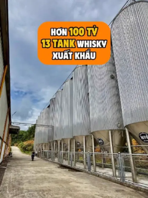 Ảnh bìa video: dàn tank whisky đầu tư khi chưa có đơn hàng chắc chắn