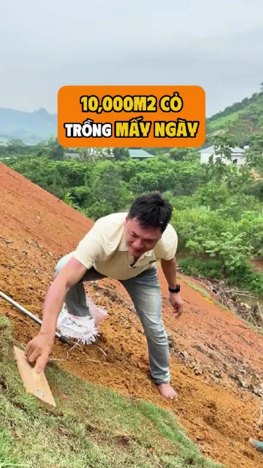 Ảnh bìa video: Trồng cỏ kín taluy nhà máy 2 cùng mười anh em công nhân