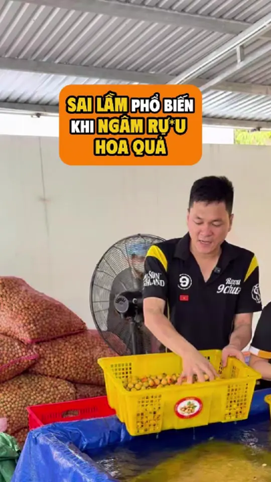 Ảnh bìa video: Ngâm rượu hoa quả càng lâu càng ngon có đúng không