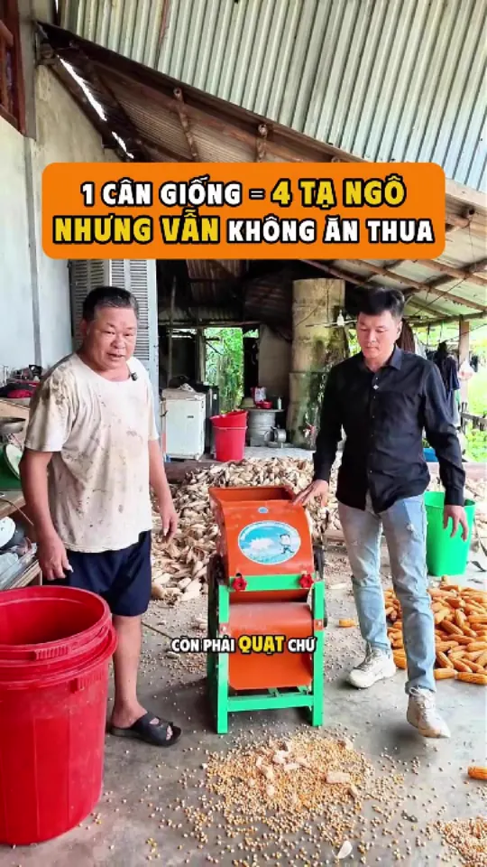 Ảnh bìa video: Một cân giống ra bốn tạ rưỡi, ông vẫn bảo trồng ngô không ăn thua