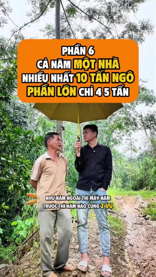 Ảnh bìa video: Cả bản bỏ hẳn vụ hai, giờ mỗi năm chỉ còn một vụ